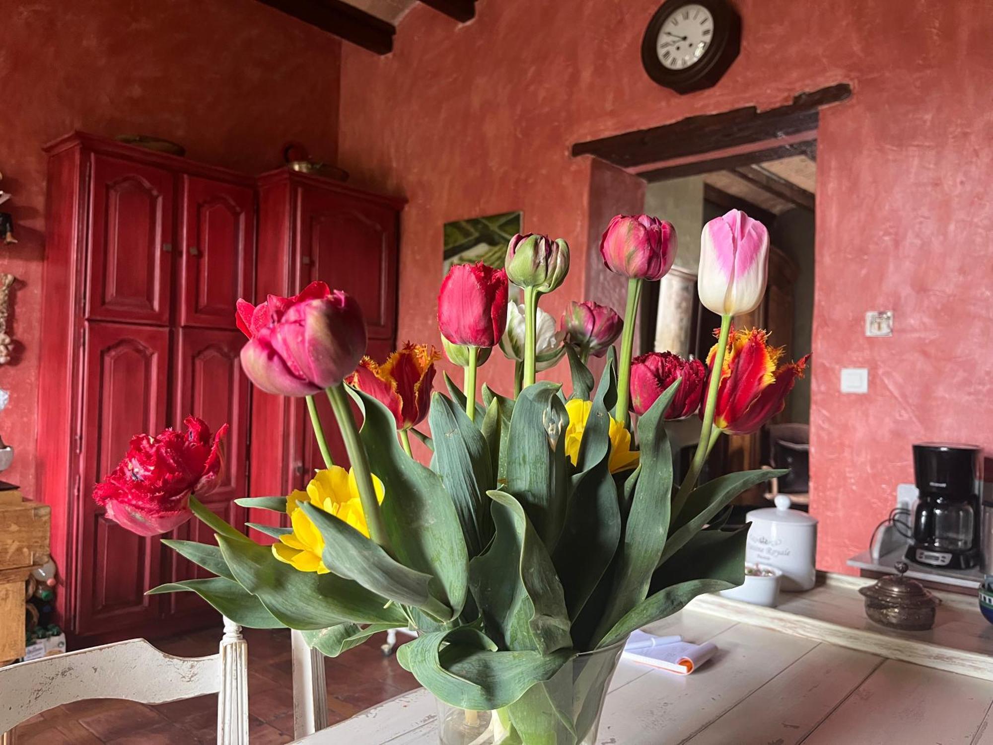 Lapalud Maison En Provence מראה חיצוני תמונה