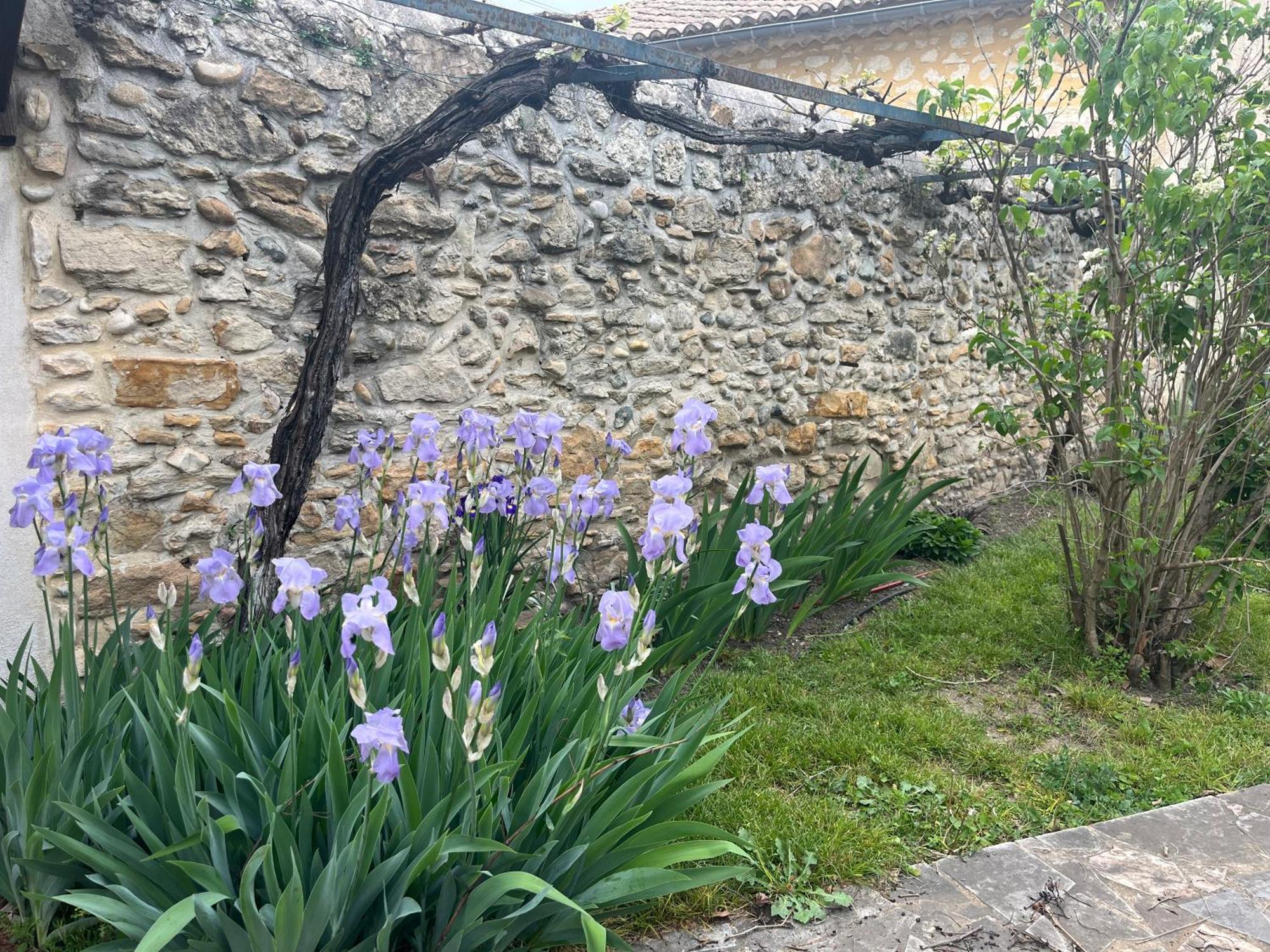 Lapalud Maison En Provence מראה חיצוני תמונה